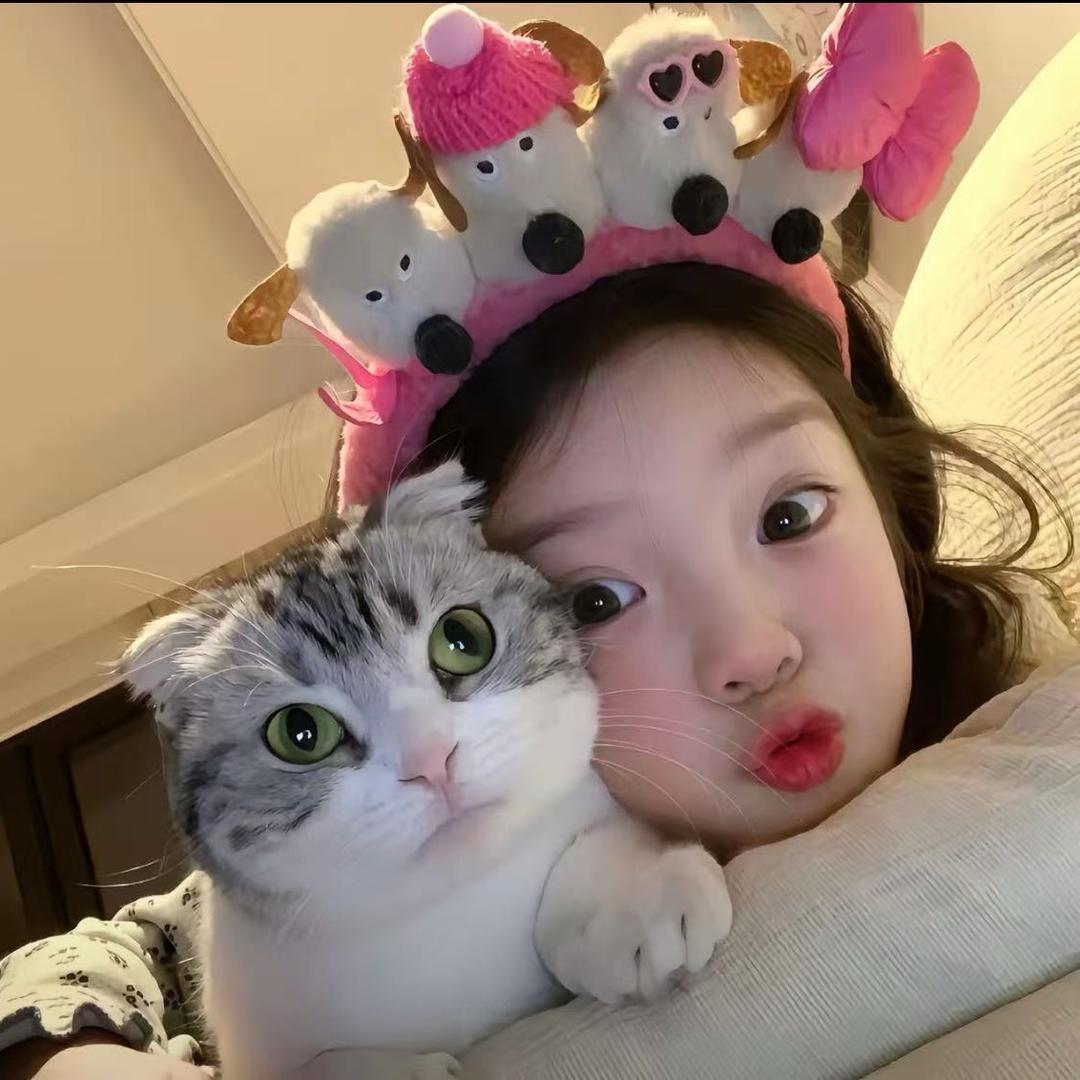 琼姐姐宝藏🌸