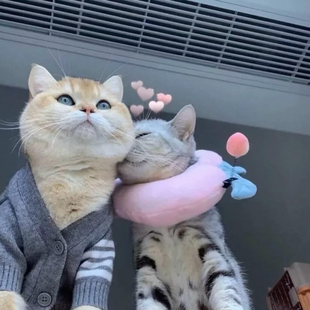 小湿