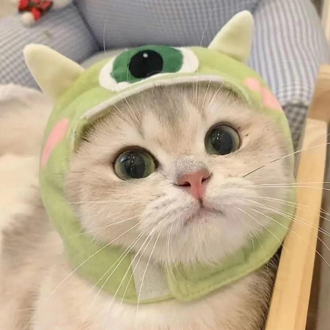 大猫小猫