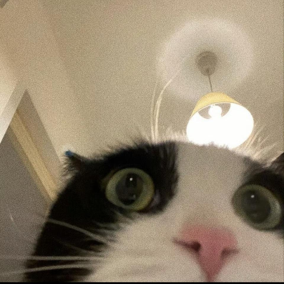 我在沙滩画个圆圈