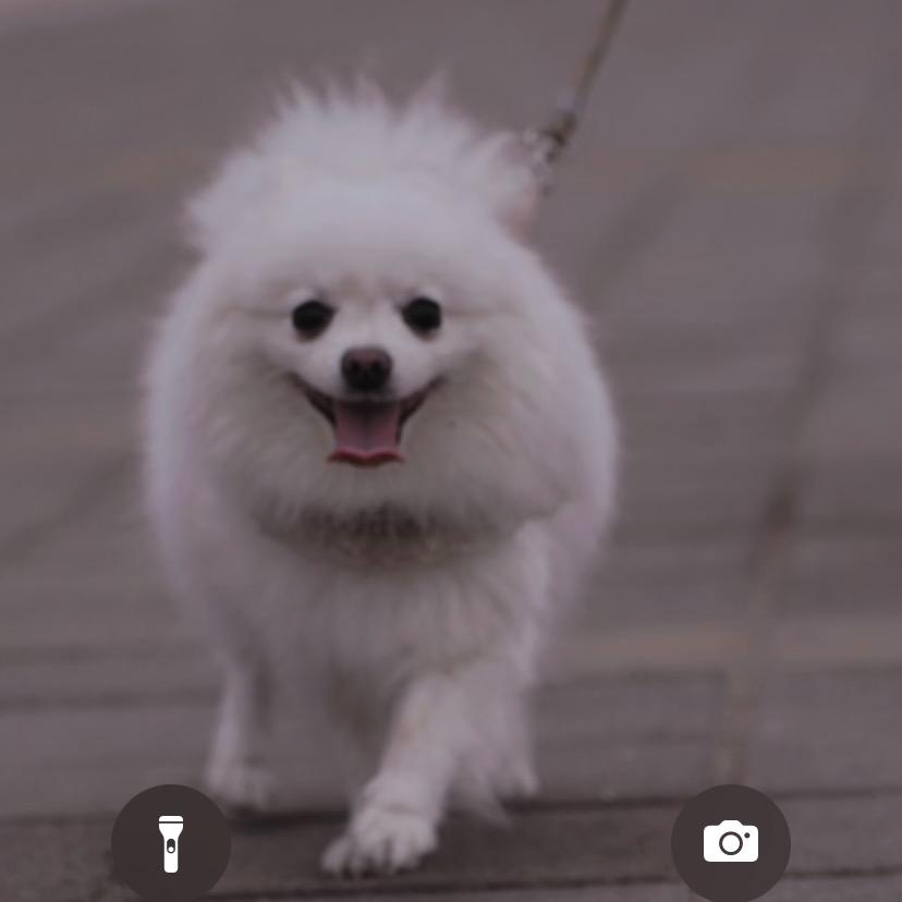 葡萄转圈圈