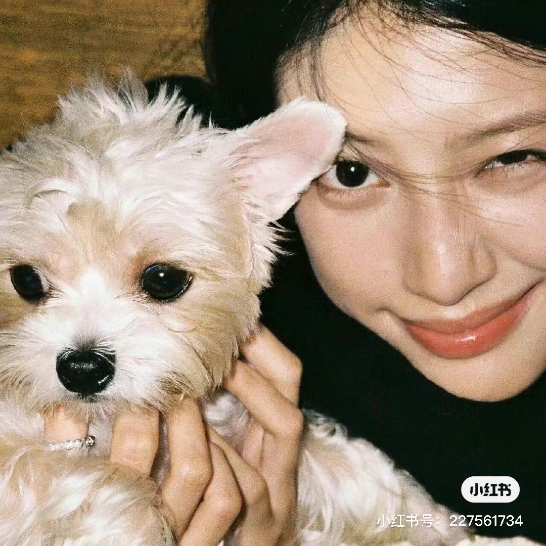 小蟹🦀（骑行版）