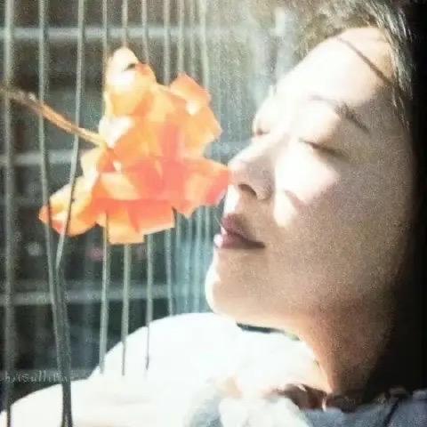 动物疫苗全国代理商