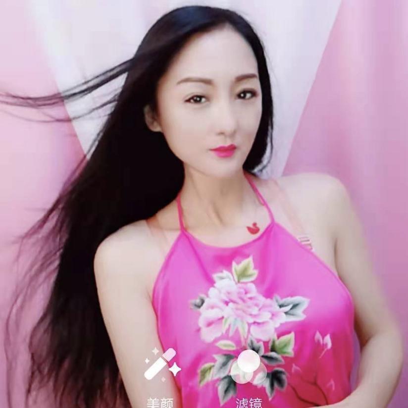 一只孤独的海鸥🕊