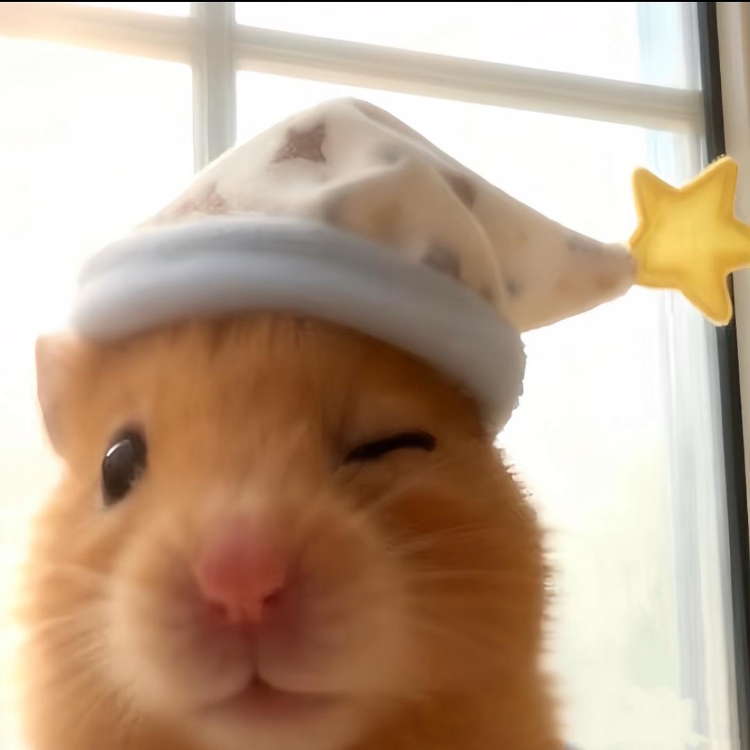 外卖被偷躲在被窝偷哭的mini