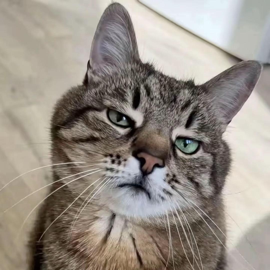 @。。