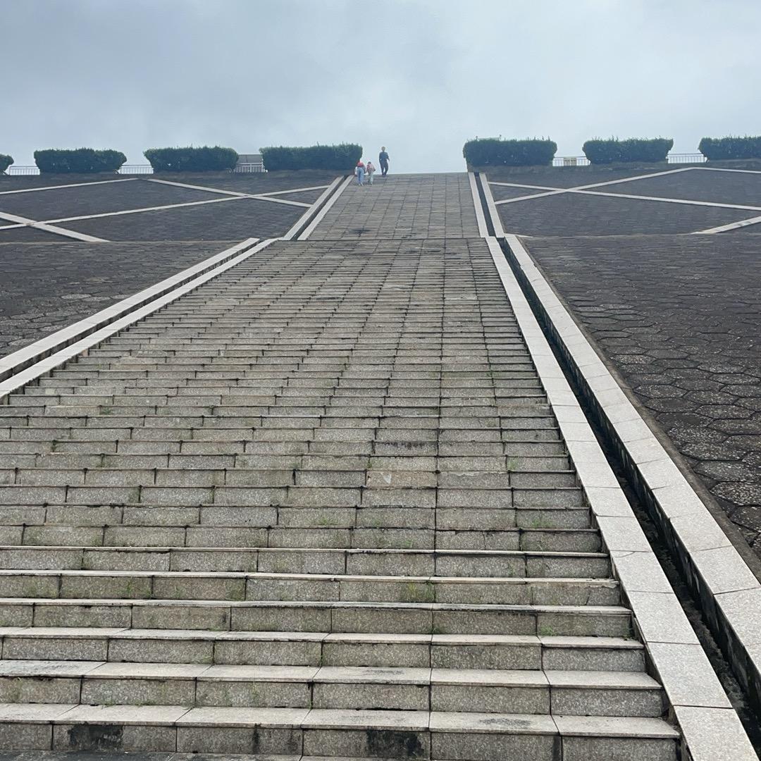 若一去不回，便一去不回