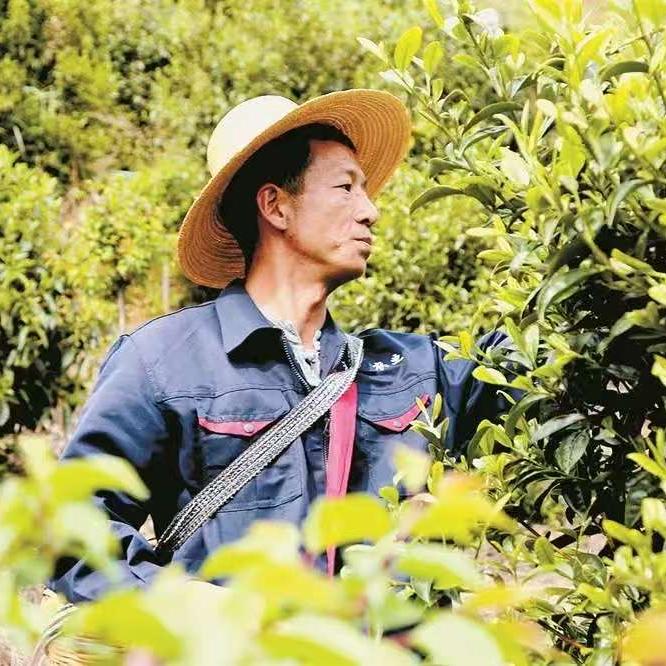 如坐春风茶叶店