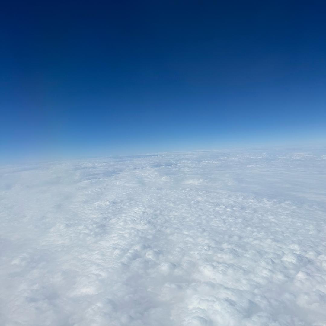 浮生