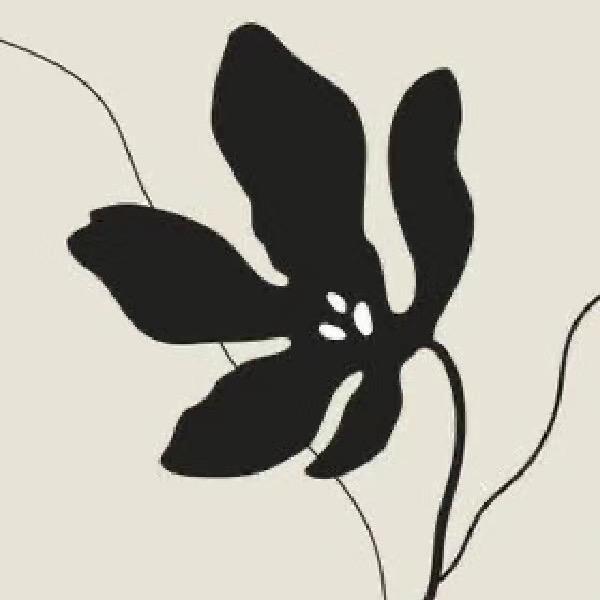 蜉蝣植物世界