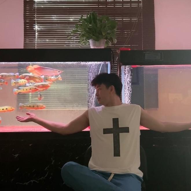 卧龙鸣君浩【红幽鳞】红龙