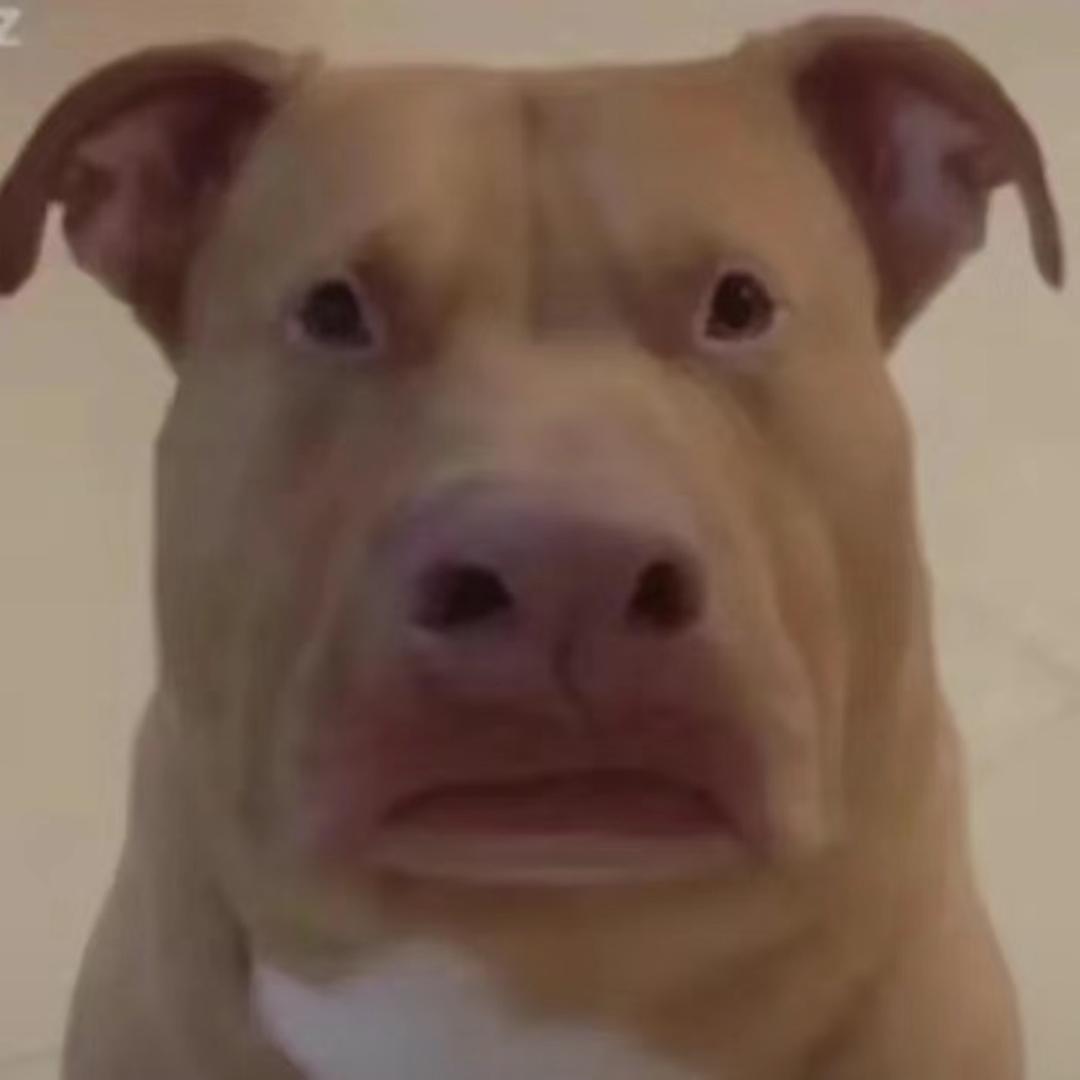 慧慧