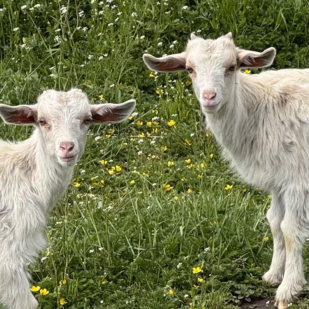 祁连恒熙禾川肉制品特产店