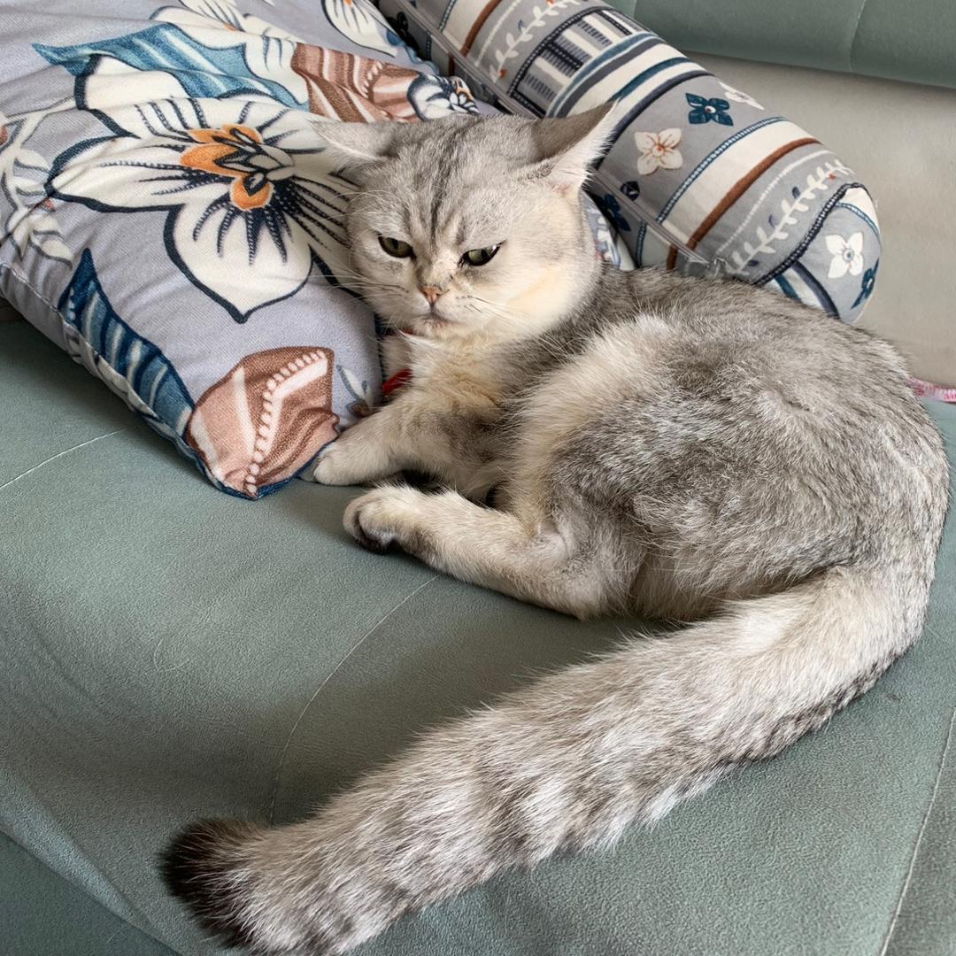 真真的小皮皮😍