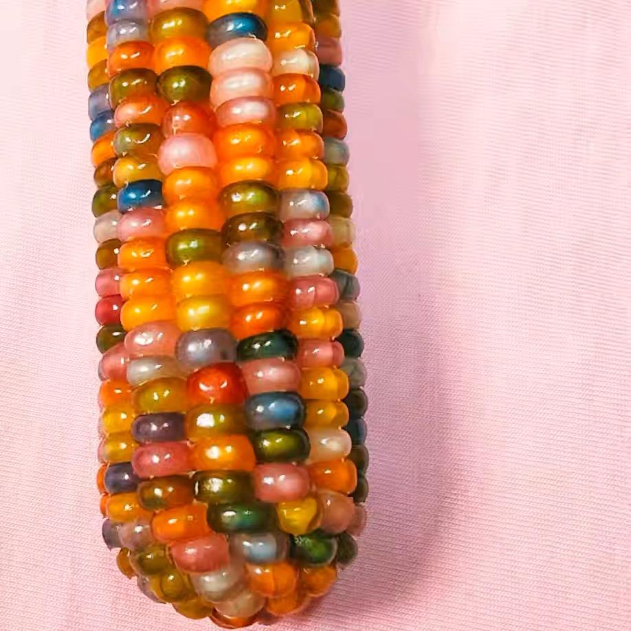 柚妍文玩玉米定制