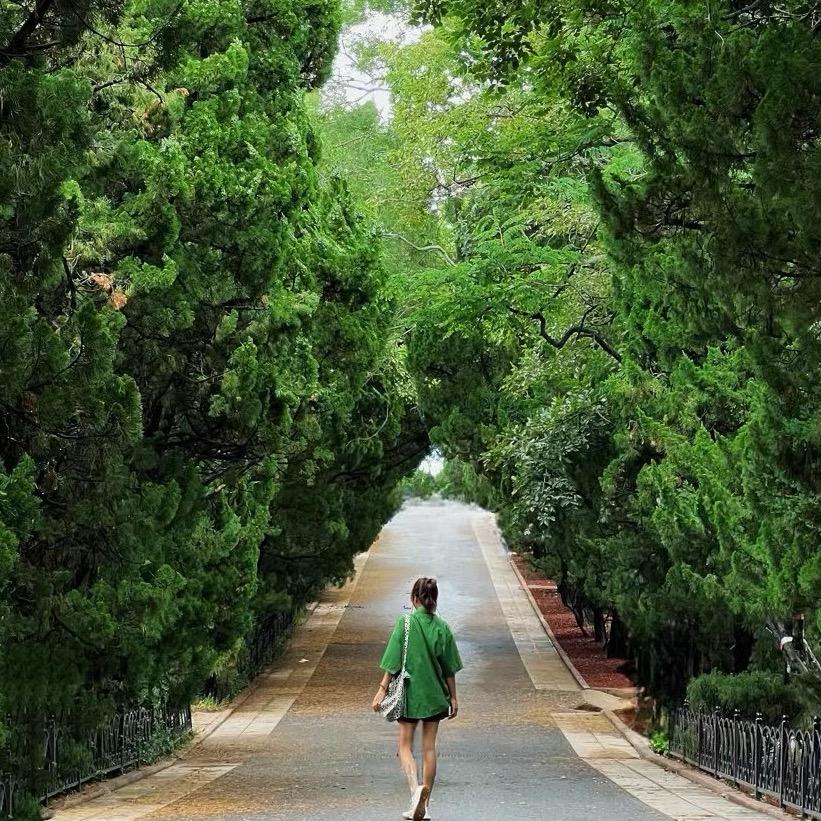 王十六🌿