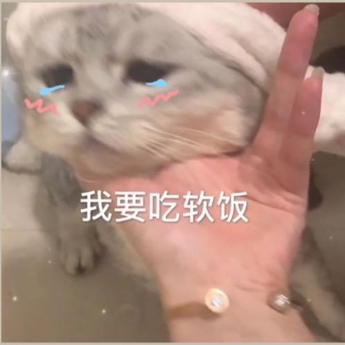烟雨i