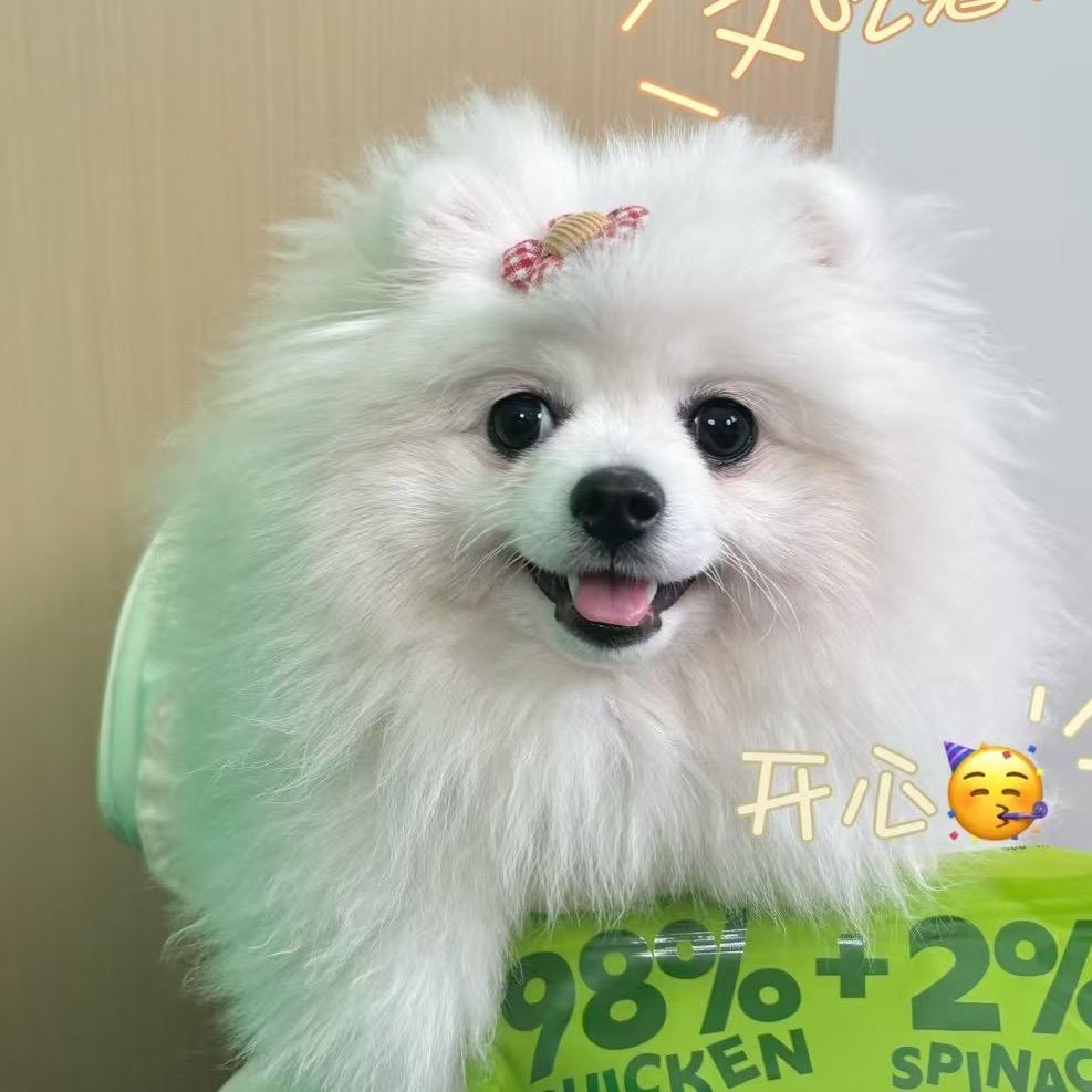 家有福妞小奶芙