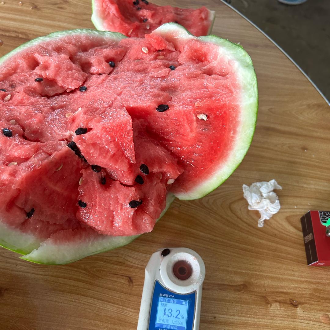 大棚西瓜小肖🍉
