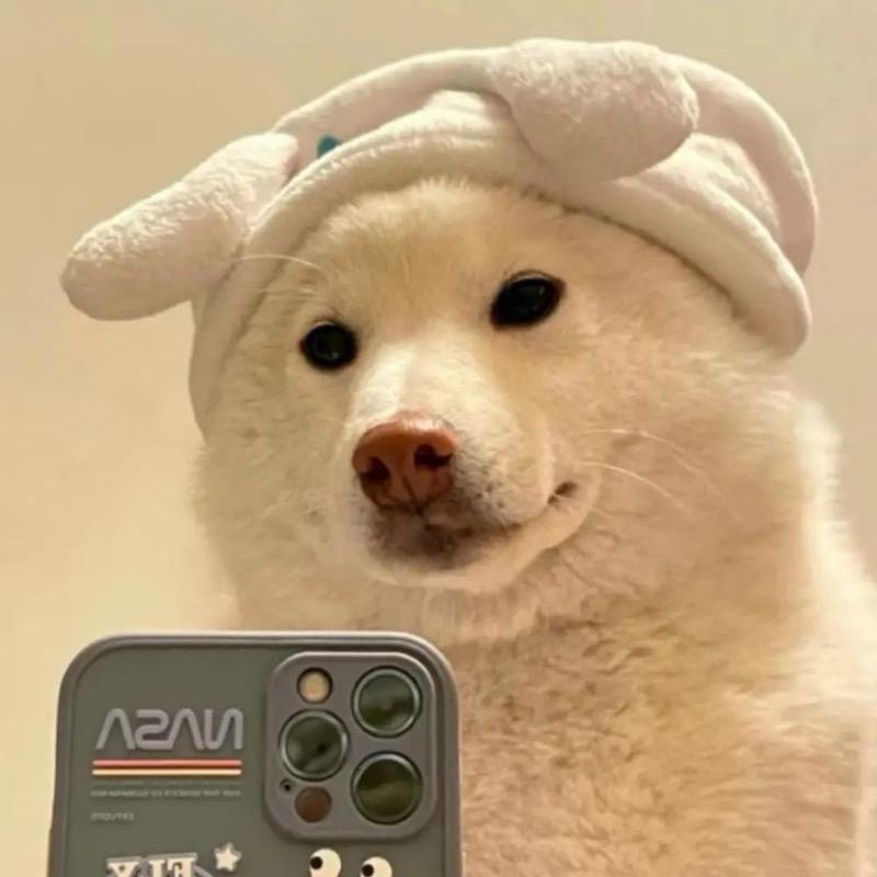 染