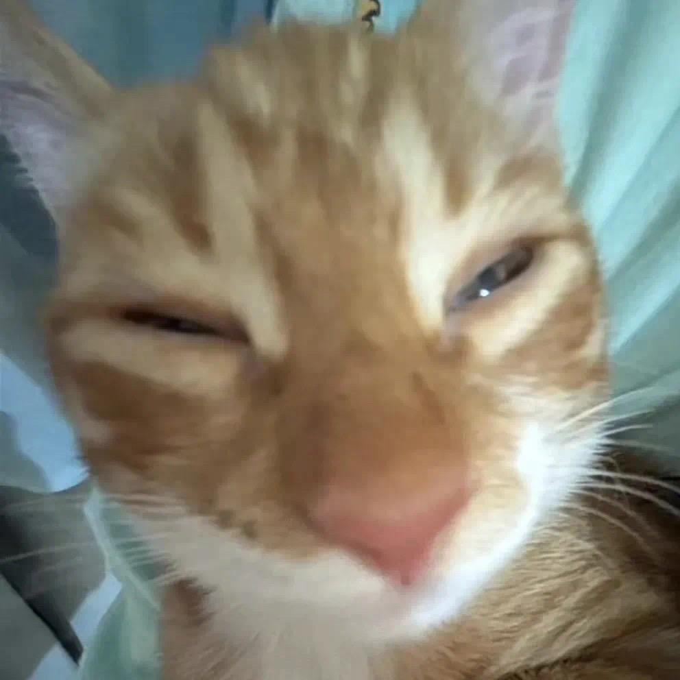 迟缓的枪
