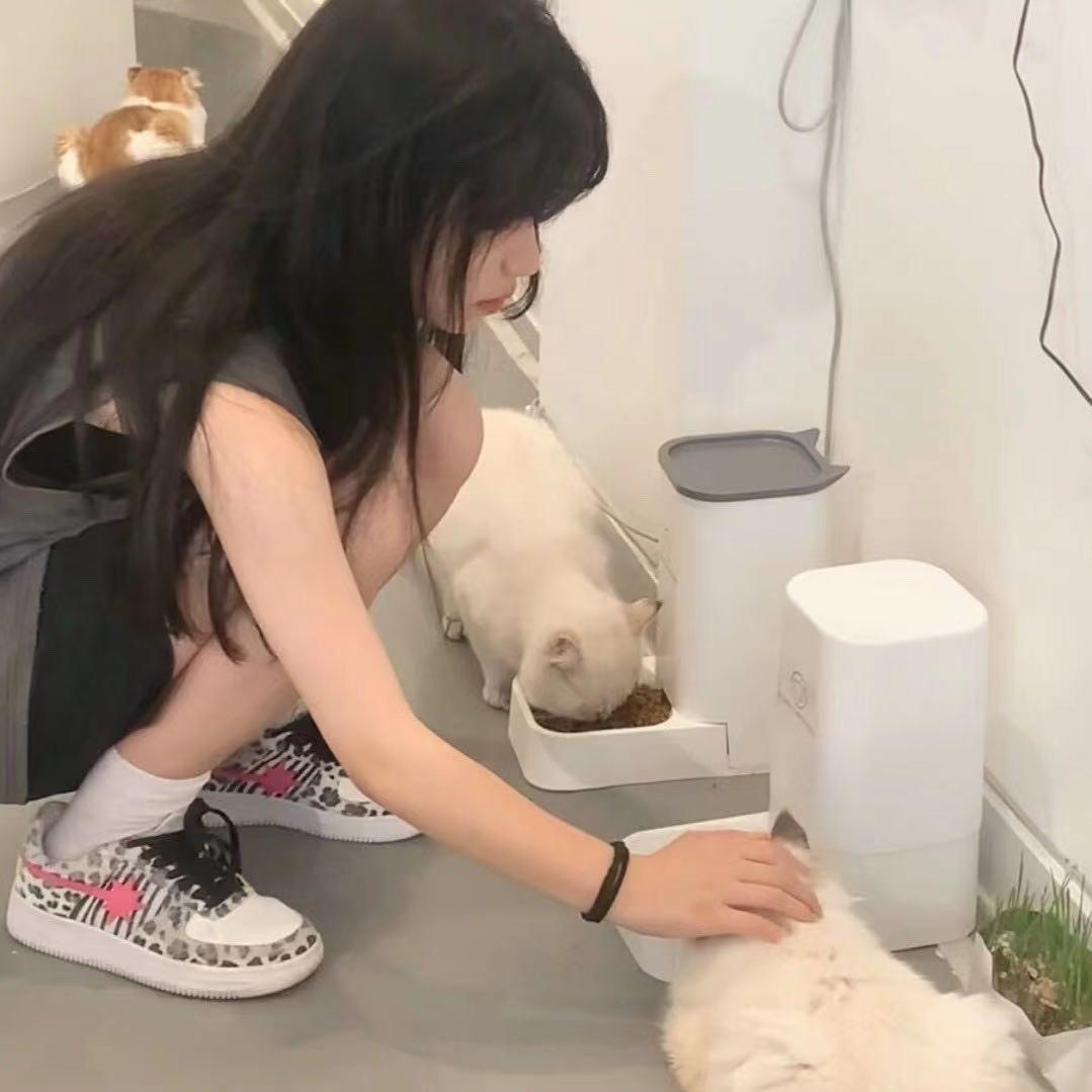 羽羽羽羽