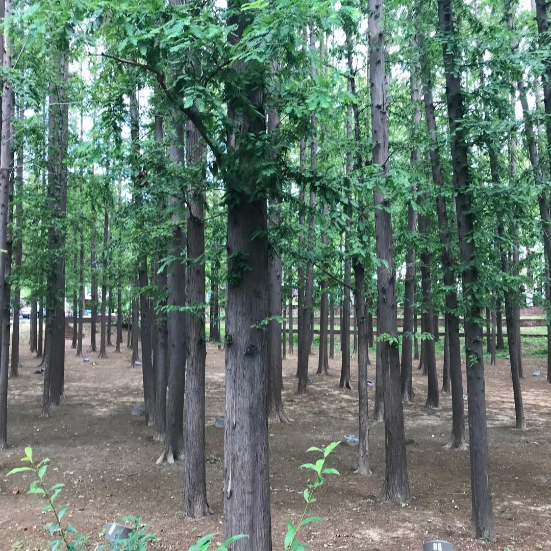 客户满意的质量