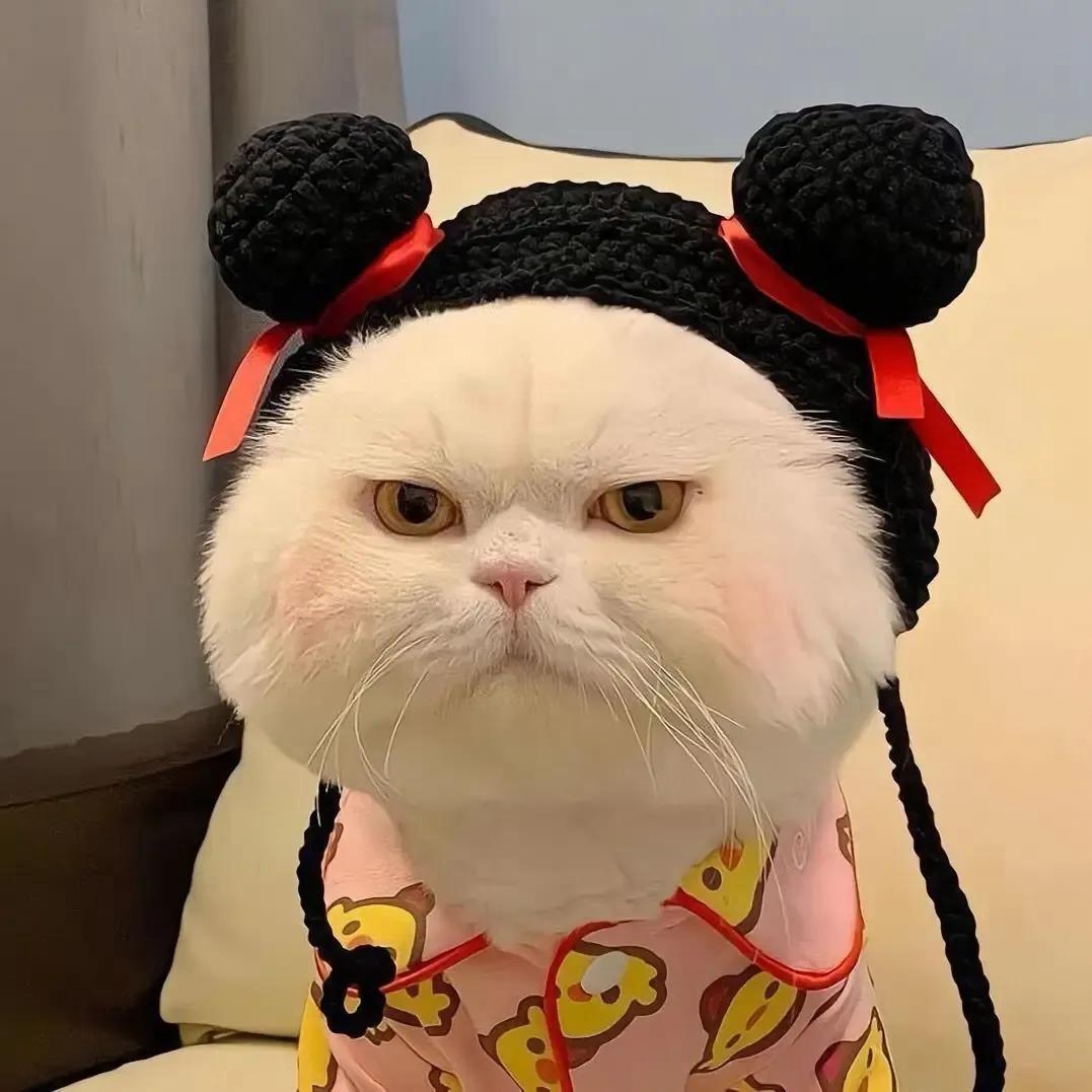 汐汐