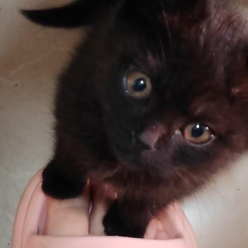 优选潮品眼镜创意屋