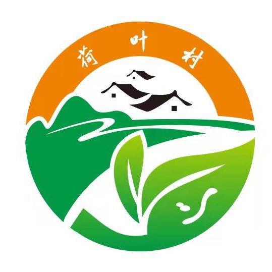 蚕桑荷叶