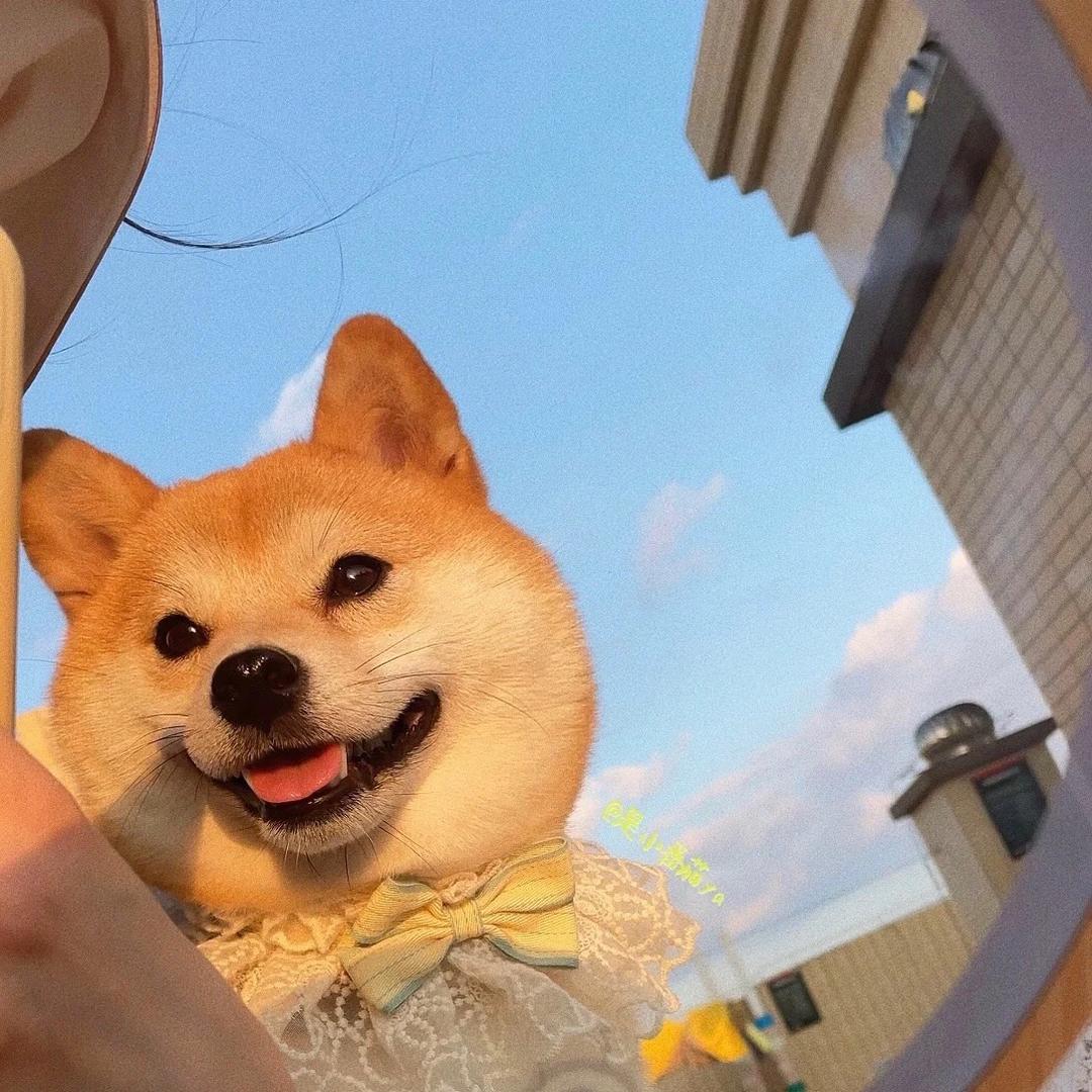 O椰!