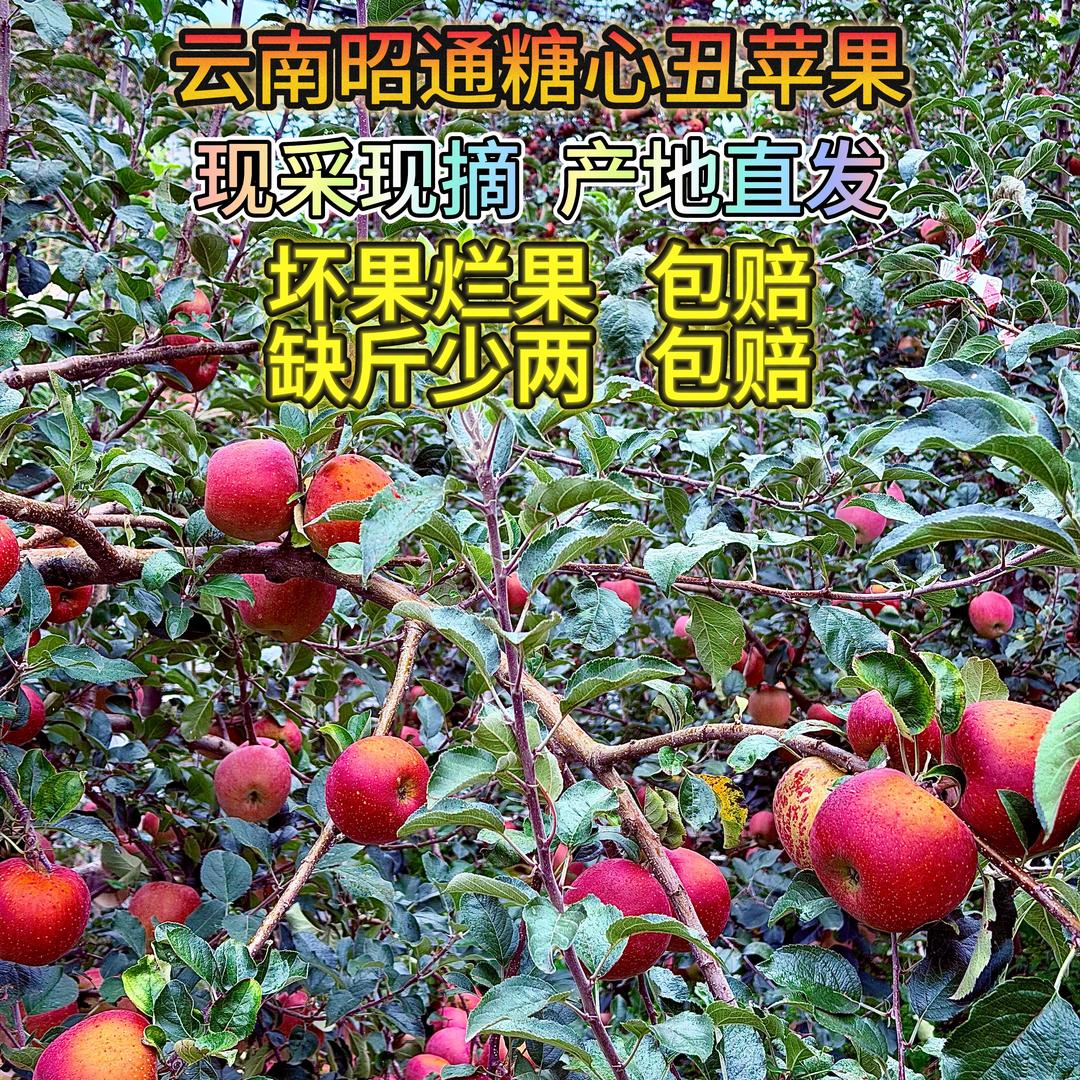 小老弟助农甄选