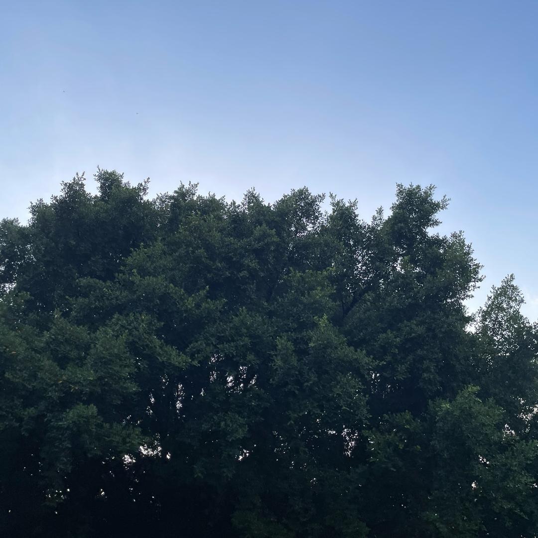 百姓推荐
