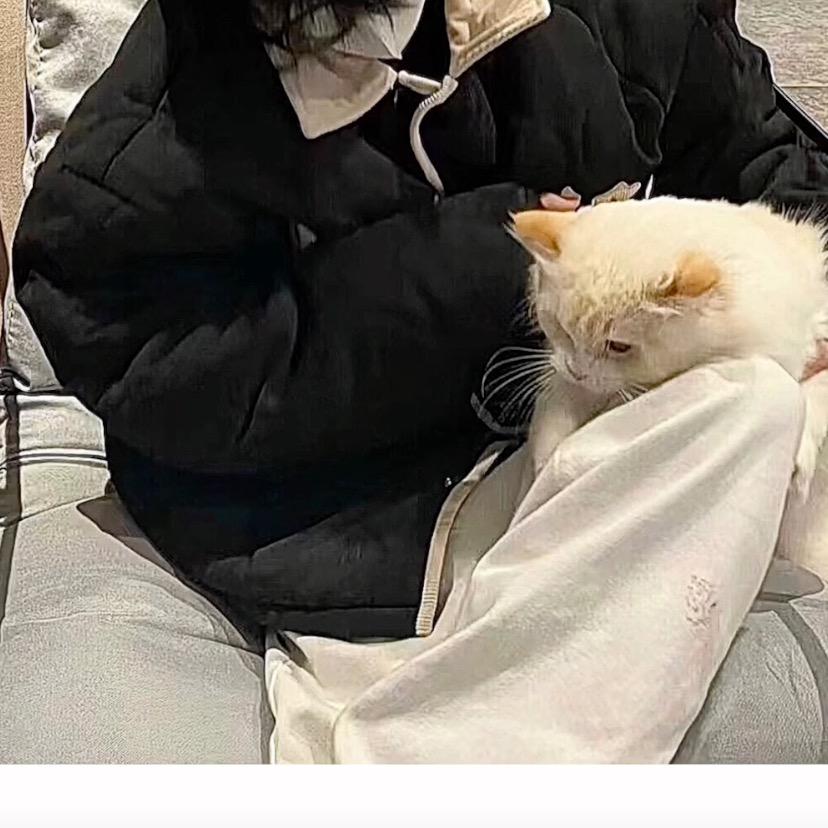 张张真的很困（学习版）