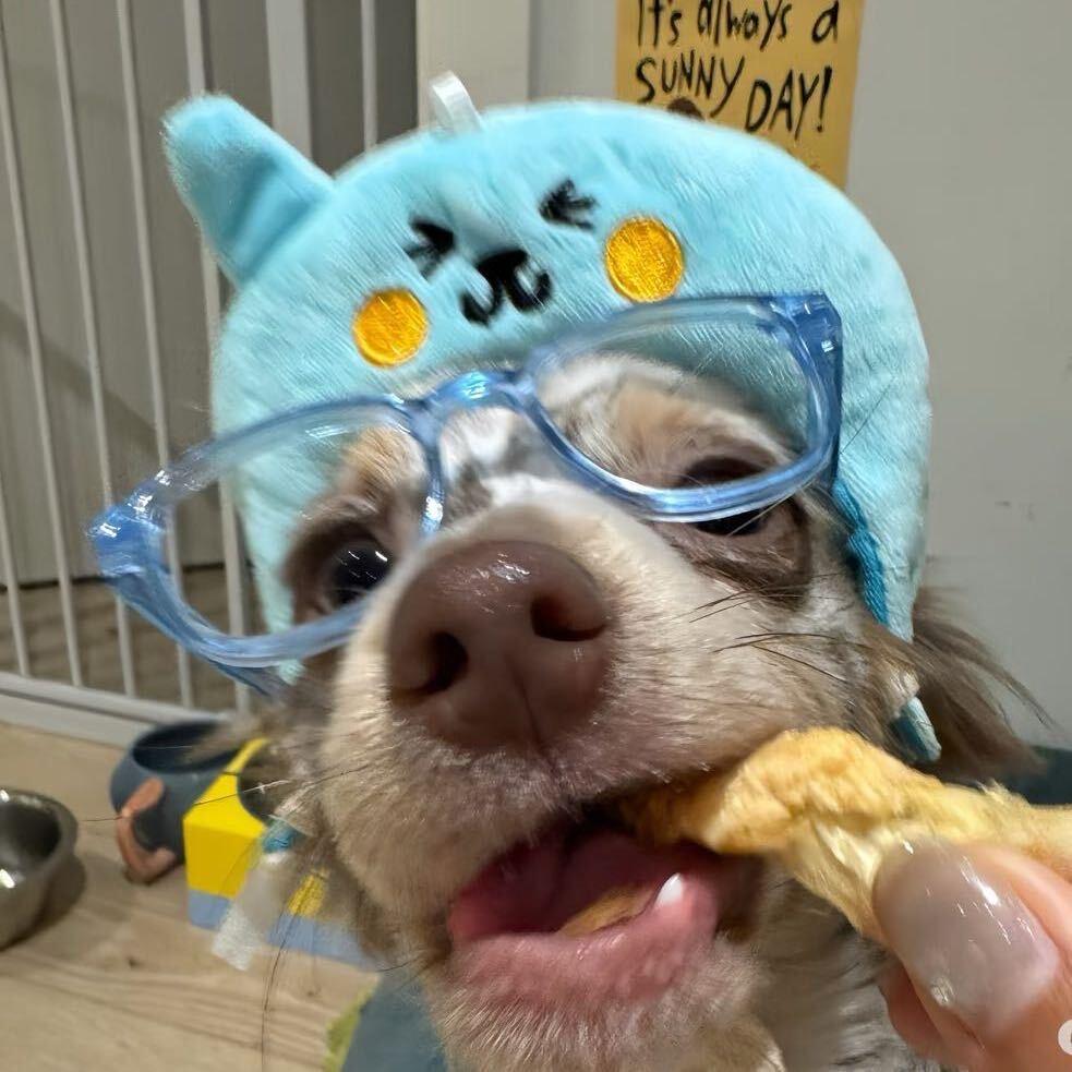 纠结的大鸡腿🍗