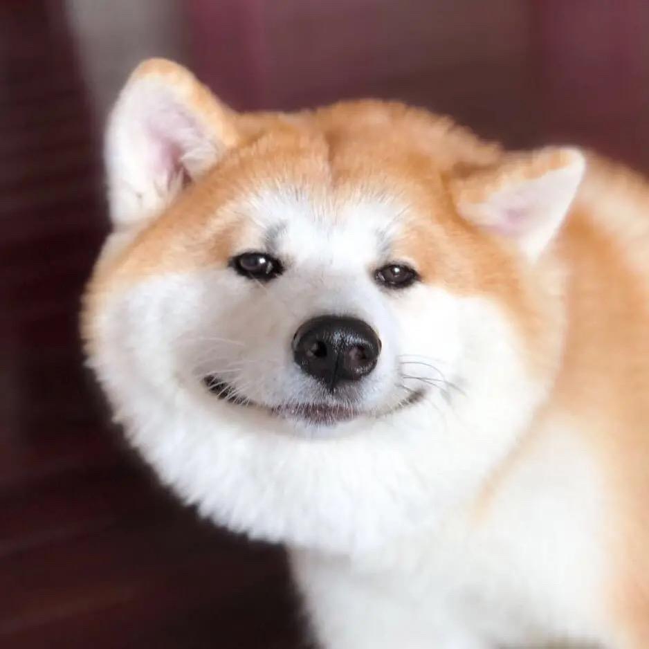 王翠花