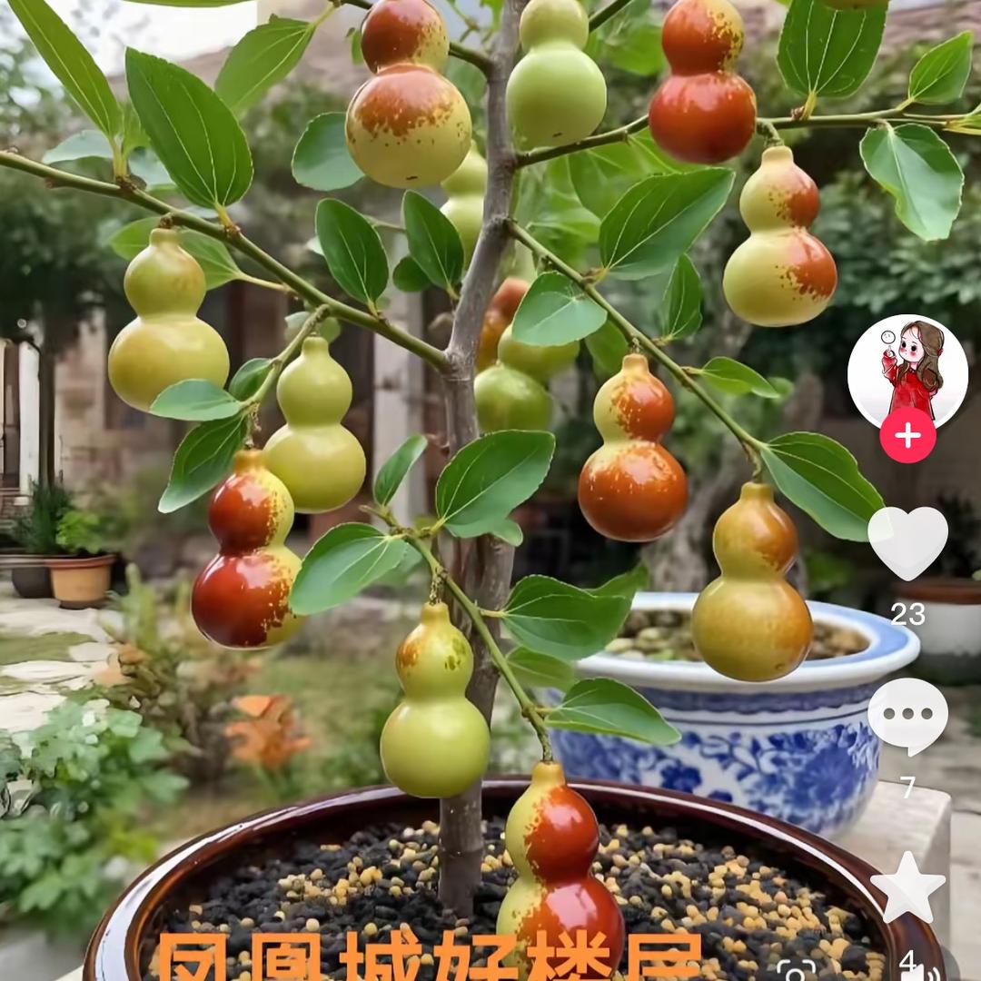 博文