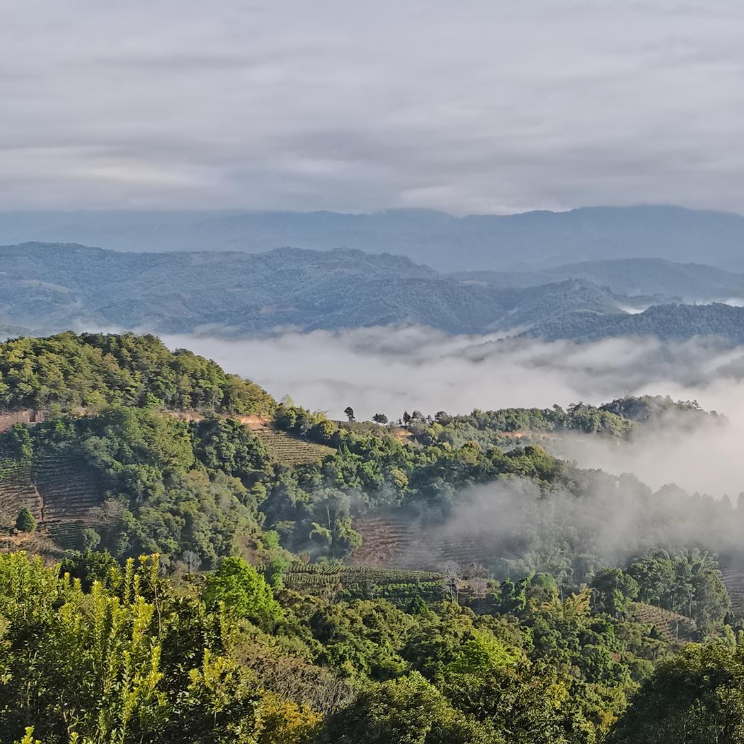 大山里的传播者