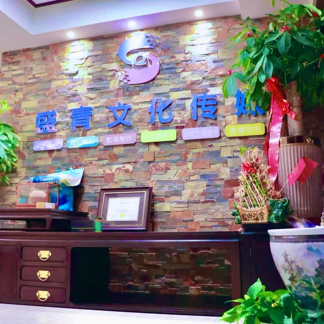 盛青文化|0基础素人孵化