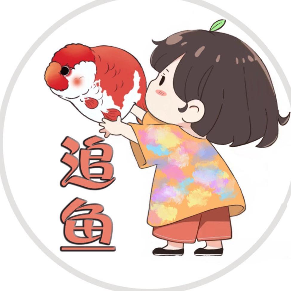 追鱼兰寿金鱼