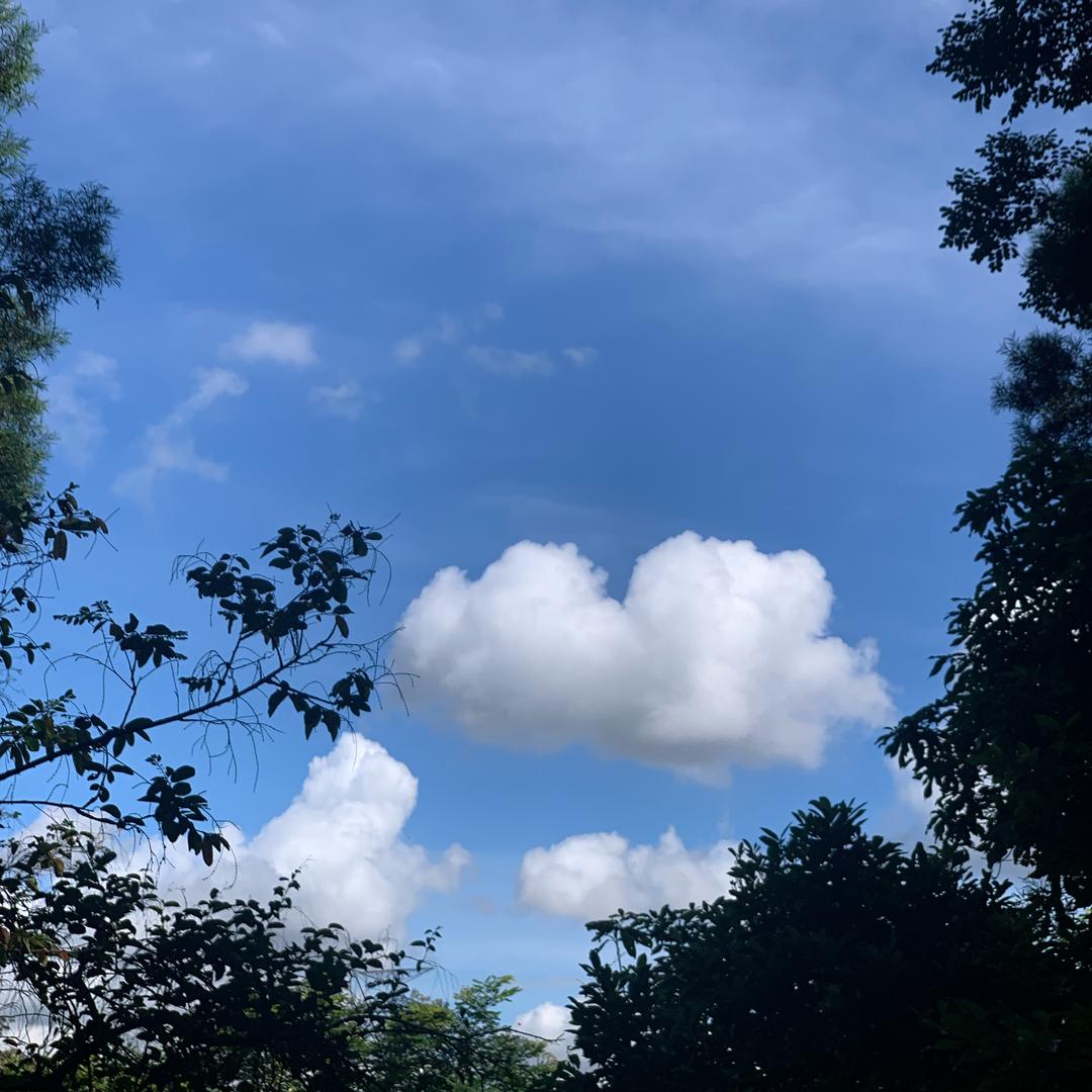 天灵灵地灵灵lll