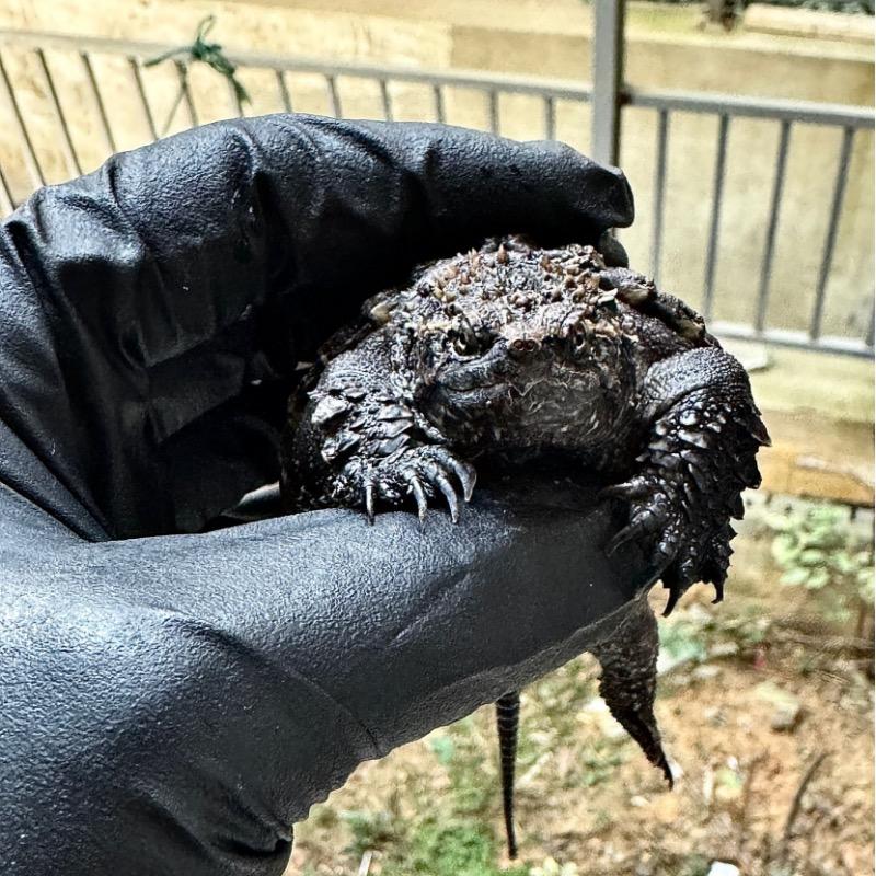 老金【私人号】