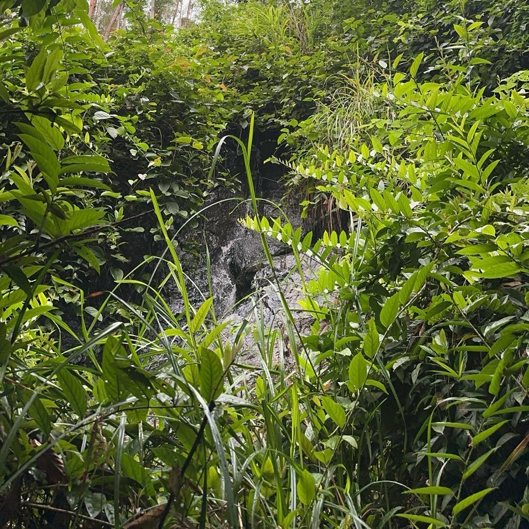 内蒙美食甄选🌈