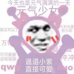 胡聪聪（许嵩👀见过版）