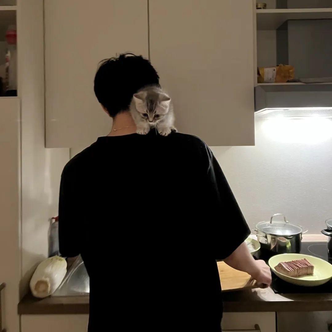 🐊🐊🐊Blue.🐊🐊🐊