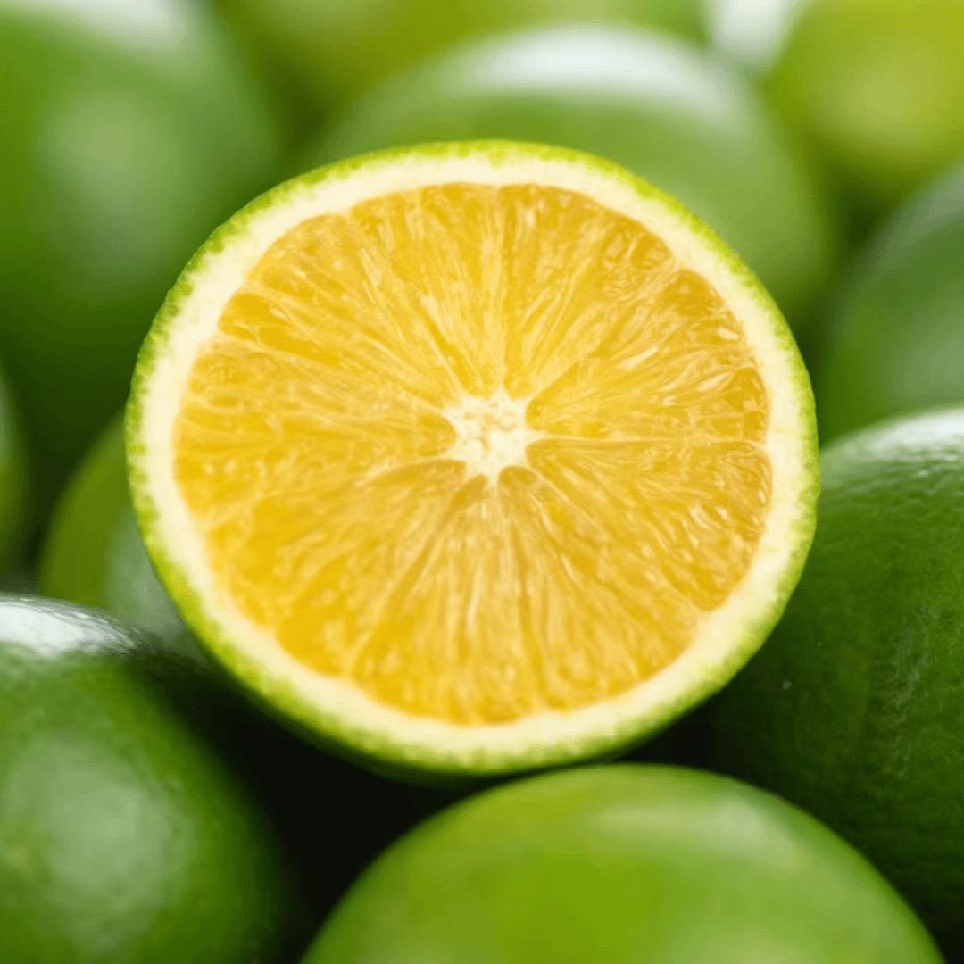 黑姐姐🧍‍♀️