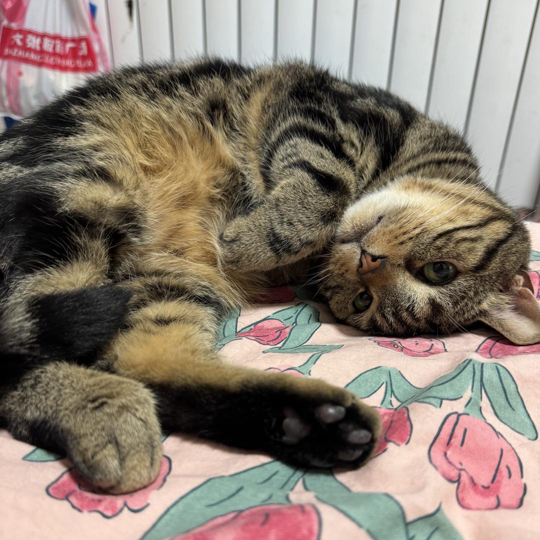 焦作豫瑞体验店