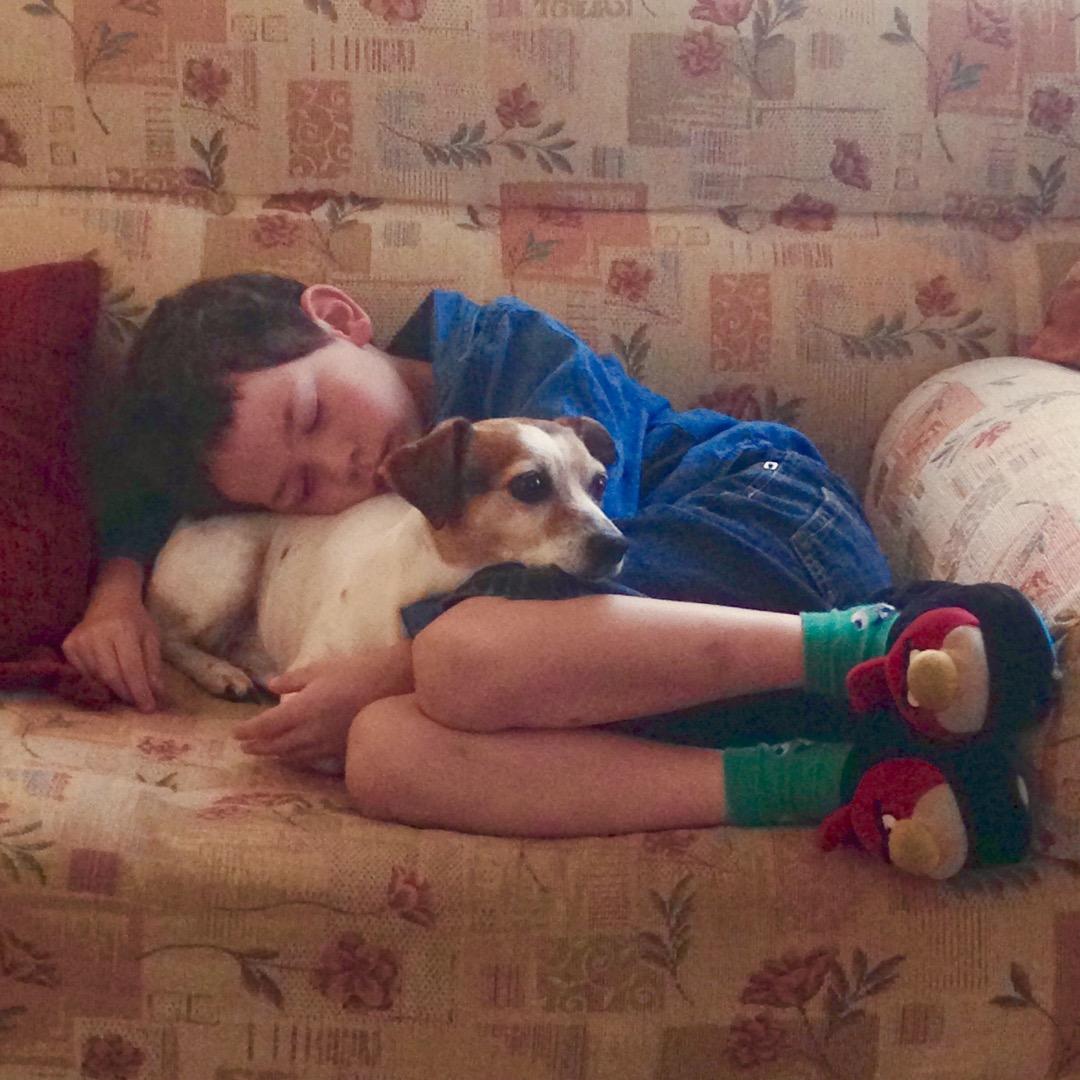 多加香葱香葱麻烦特辣