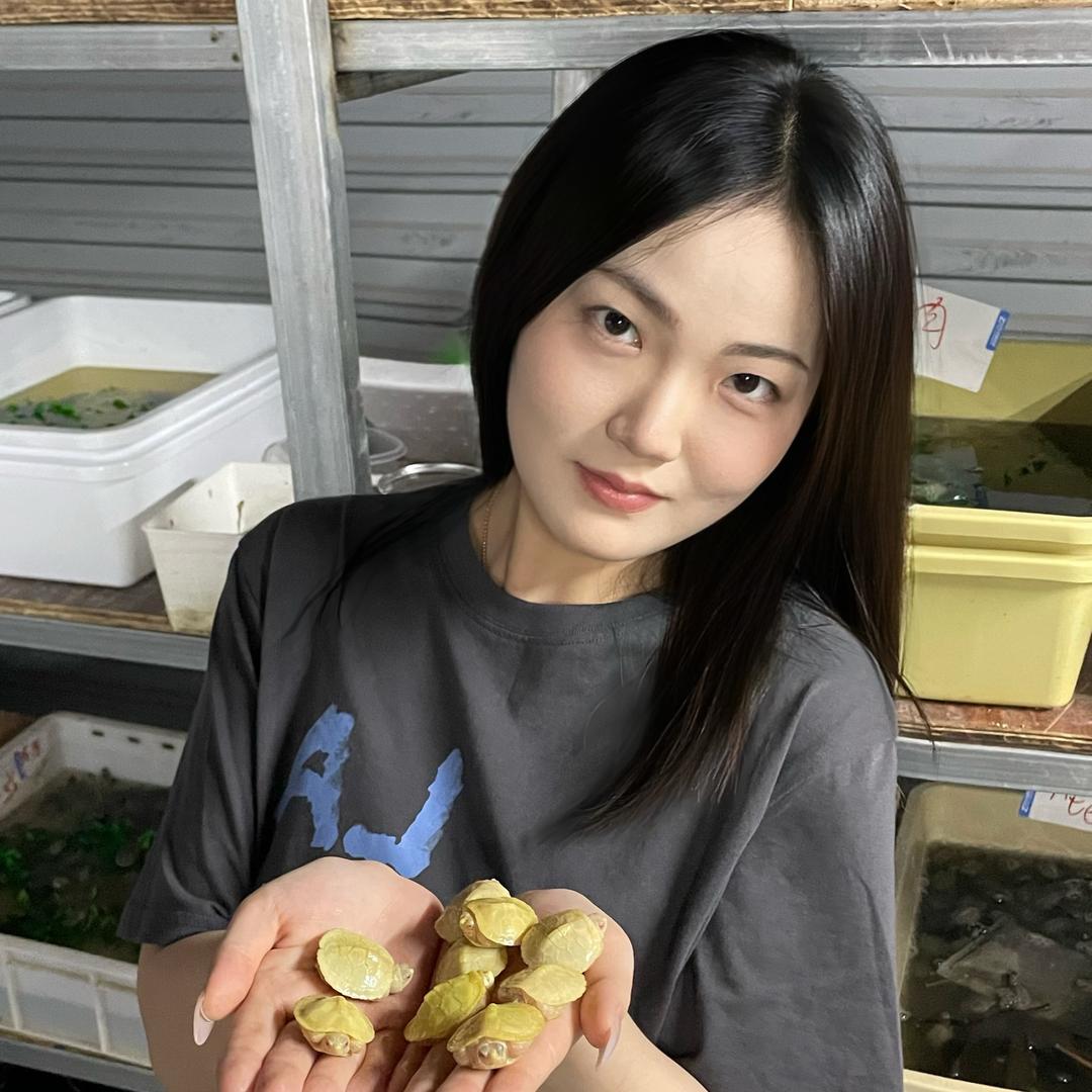 龙华蛛蛛爆宠物店