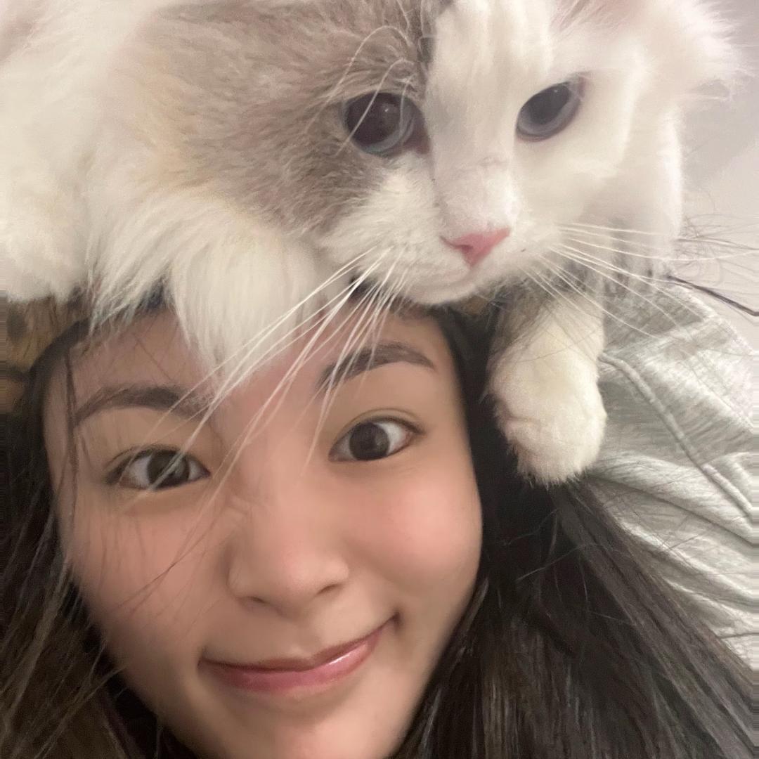烦鼠